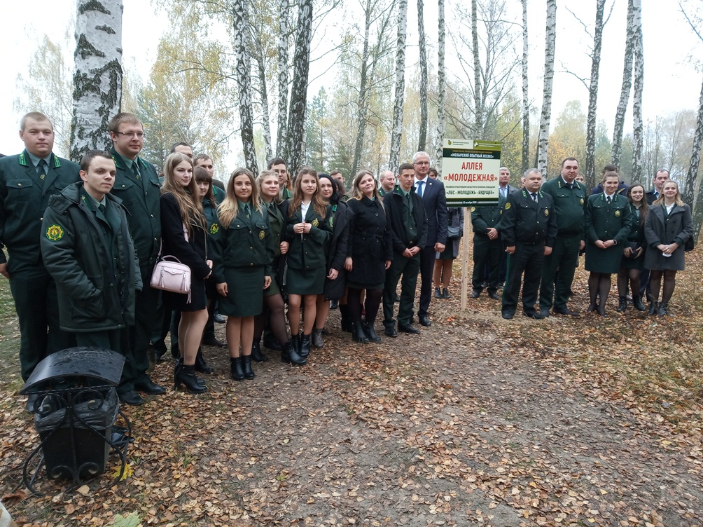 Лесхоз гомель. Директор Ленинского лесхоза. Гродненское ГПЛХО. Житковичский лесхоз. Могилевское ГПЛХО.