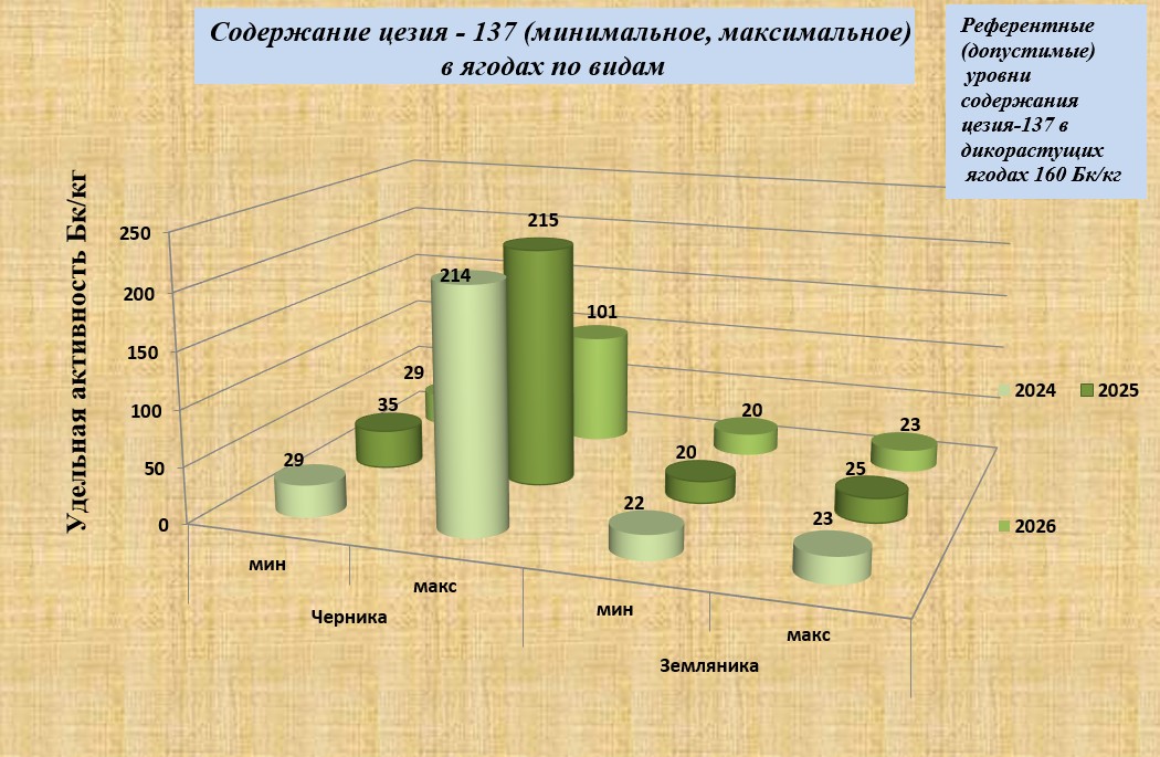 ягодысайт