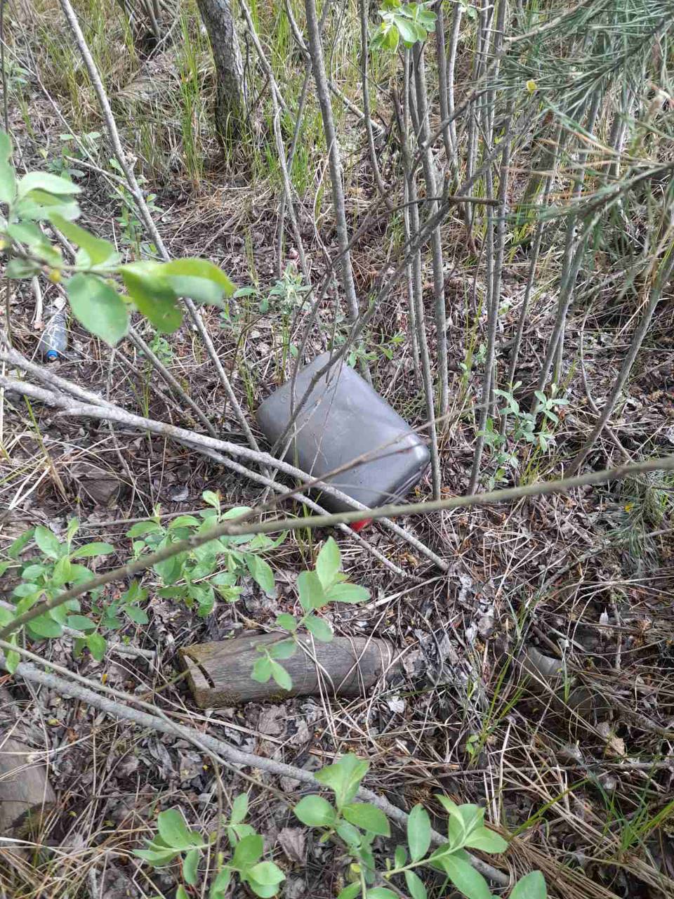 photo 2025 06 03 12 44 36