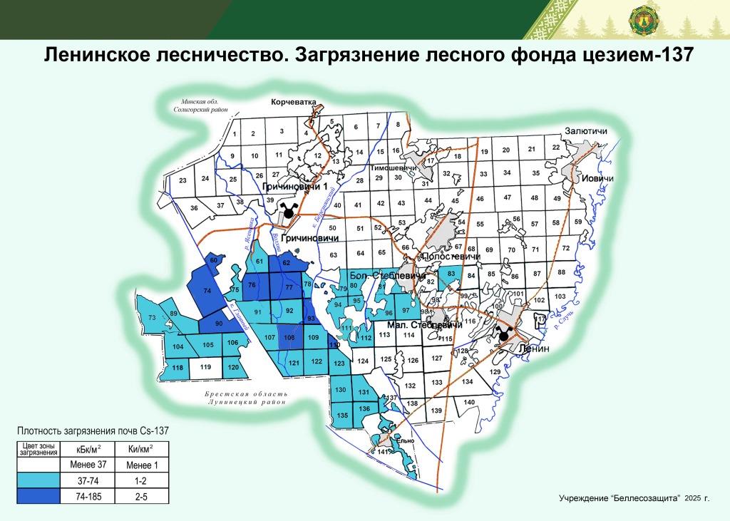 Ленинское лесничество А3 25