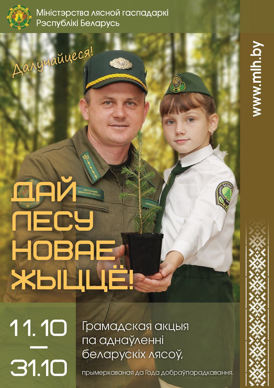 плакат